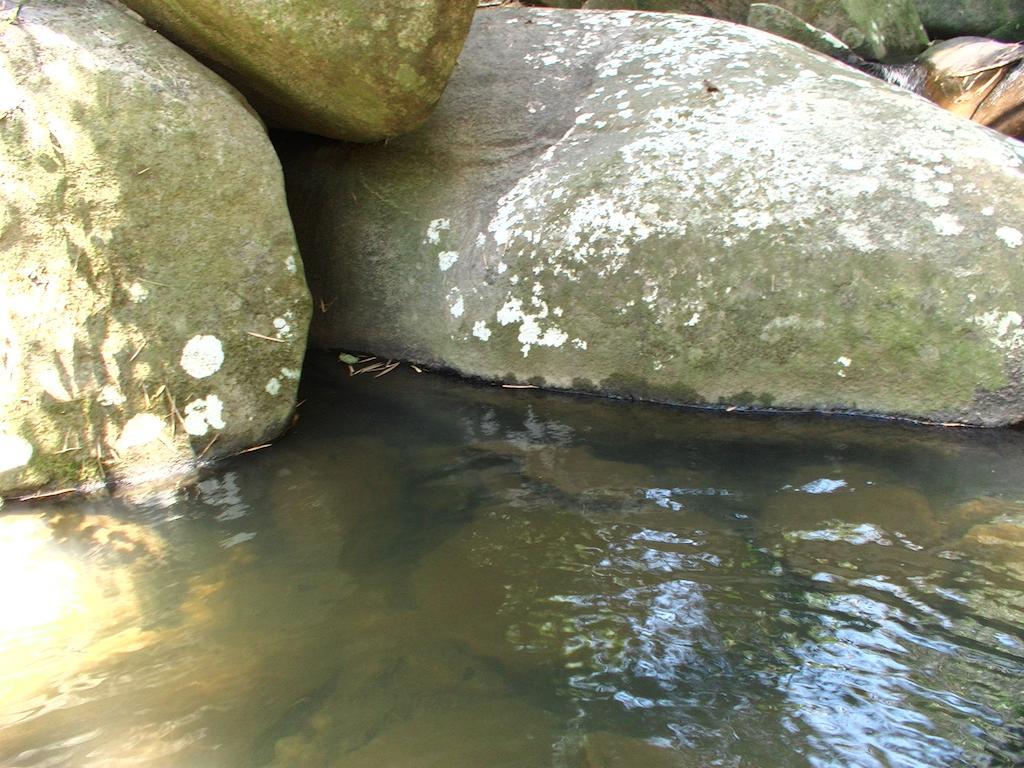 Ytororo O Som Das Aguas パラチ エクステリア 写真