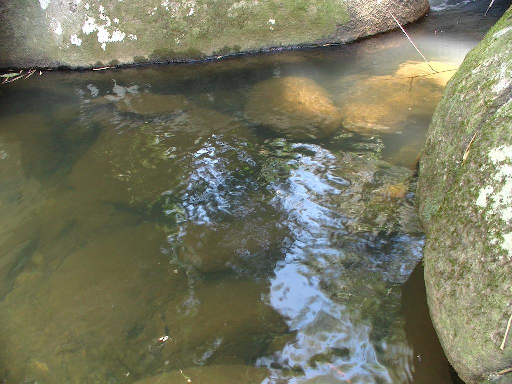 Ytororo O Som Das Aguas パラチ エクステリア 写真